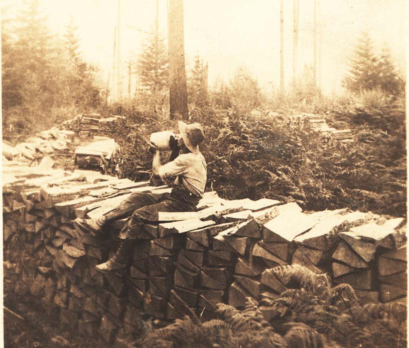 John's Woodpile